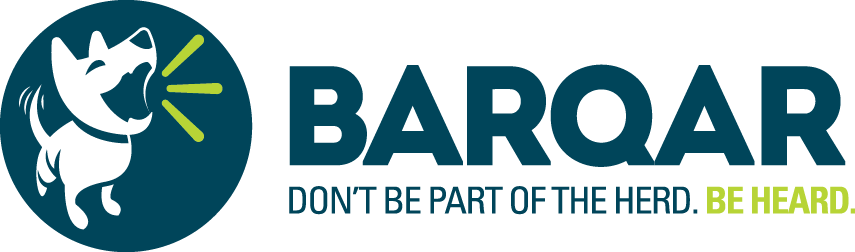 barqar-s-marketing-strategy.pages.dev favicon